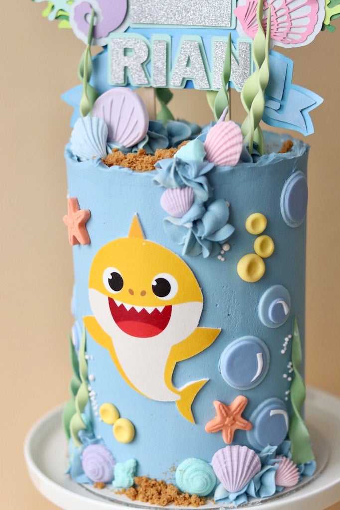 babysharkkidsbirthdaypartycakemelbourneyarraville Miss Noble